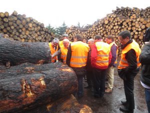 Ministro da Agricultura em Mangualde (2)