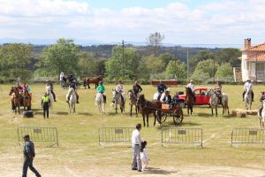 4.º Encontro Equestre_Espinho (1)